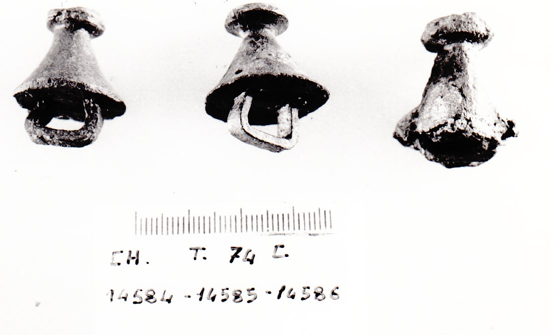 borchia - Cultura Ligure della Prima Età del Ferro (VII a.C)