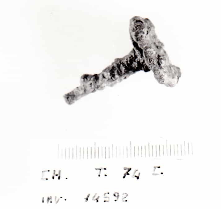 chiodo - Cultura Ligure della Prima Età del Ferro (VII a.C)