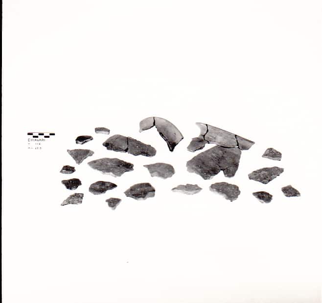 olla - Cultura Ligure della Prima Età del Ferro (VII a.C)