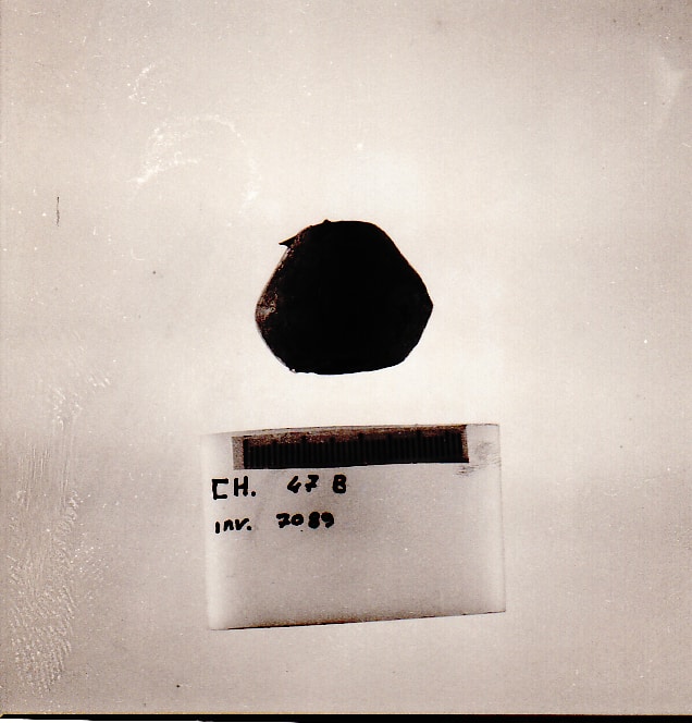 fuseruola - Cultura Ligure della Prima Età del Ferro (VII a.C)