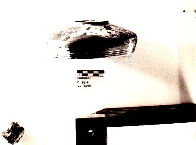 scodella - Cultura Ligure della Prima Età del Ferro (VII a.C)