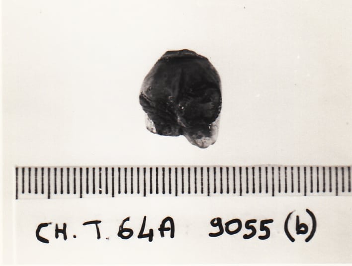 pendente - Cultura Ligure della Prima Età del Ferro (VII a.C)