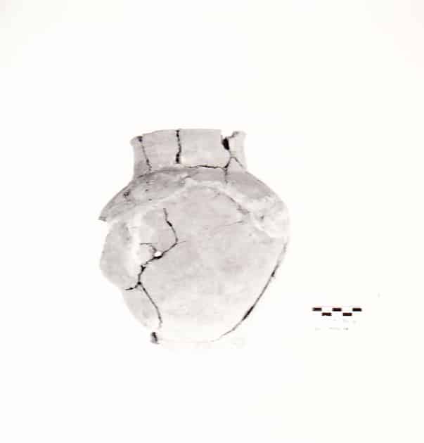 olla - Cultura Ligure della Prima Età del Ferro (VII a.C)