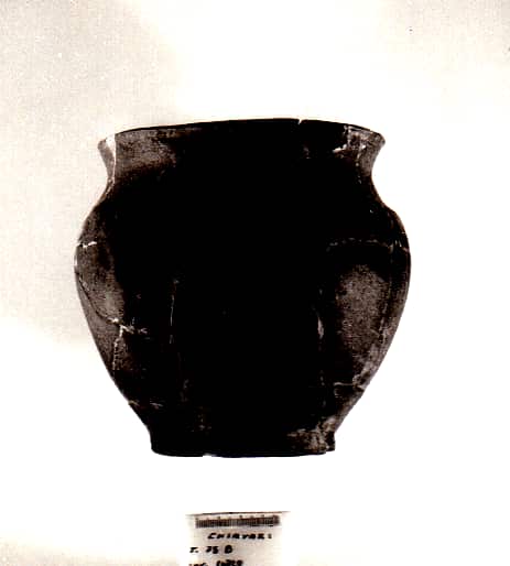 olla - Cultura Ligure della Prima Età del Ferro (VII a.C)