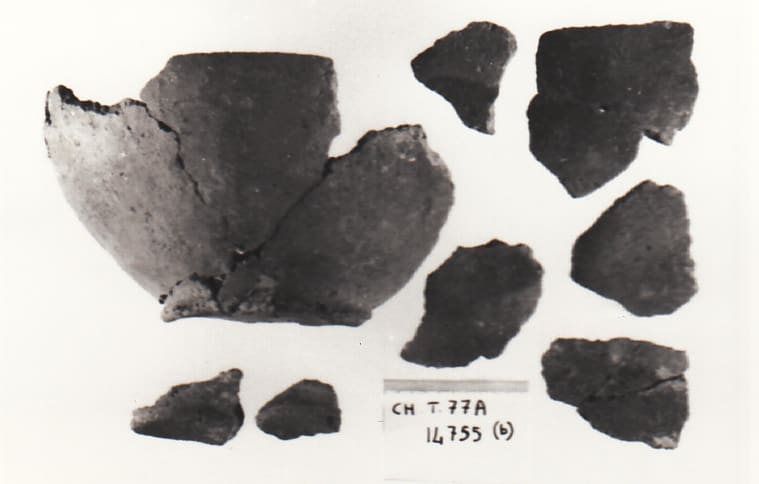 scodella - Cultura Ligure della Prima Età del Ferro (VII a.C)