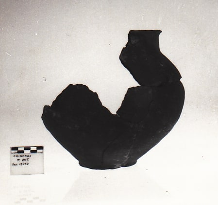 olla - Cultura Ligure della Prima Età del Ferro (VII a.C)