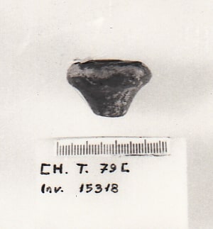 fuseruola - Cultura Ligure della Prima Età del Ferro (VII a.C)