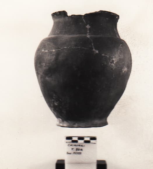 olla - Cultura Ligure della Prima Età del Ferro (VII a.C)