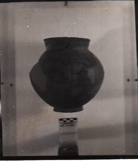 olla - Cultura Ligure della Prima Età del Ferro (VII a.C)