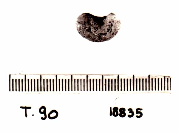 vago - Cultura Ligure della Prima Età del Ferro (VII a.C)