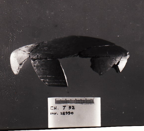 scodella - Cultura Ligure della Prima Età del Ferro (VII a.C)