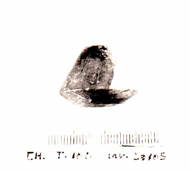 fuseruola - Cultura Ligure della Prima Età del Ferro (VII a.C)