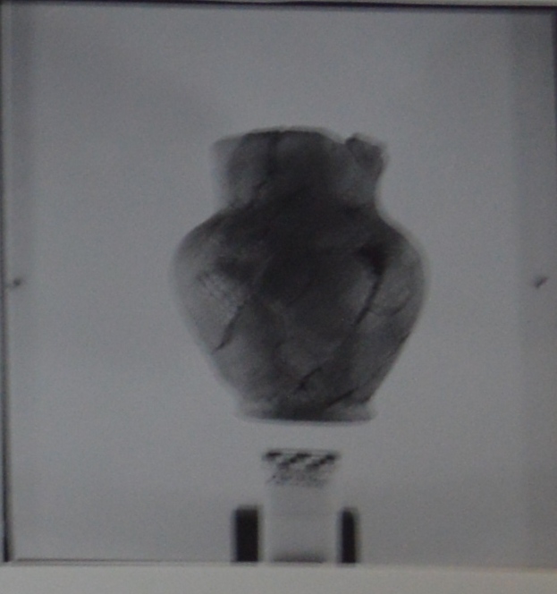 olla - Cultura Ligure della Prima Età del Ferro (VII a.C)