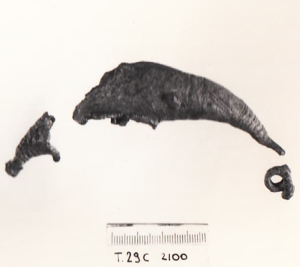 fibula - Cultura Ligure della Prima Età del Ferro (VII a.C)