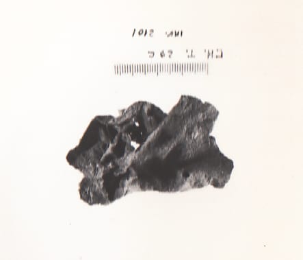 disco - Cultura Ligure della Prima Età del Ferro (VII a.C)