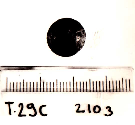 bottone - Cultura Ligure della Prima Età del Ferro (VII a.C)