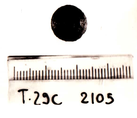 bottone - Cultura Ligure della Prima Età del Ferro (VII a.C)