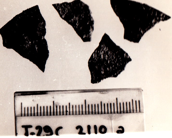 disco - Cultura Ligure della Prima Età del Ferro (VII a.C)