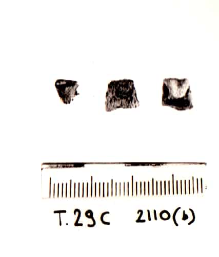 gancio - Cultura Ligure della Prima Età del Ferro (VII a.C)