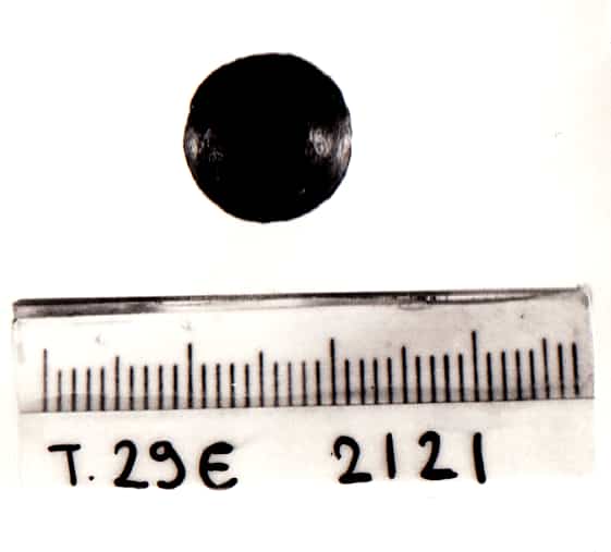 bottone - Cultura Ligure della Prima Età del Ferro (VII a.C)