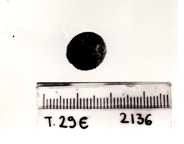 bottone - Cultura Ligure della Prima Età del Ferro (VII a.C)