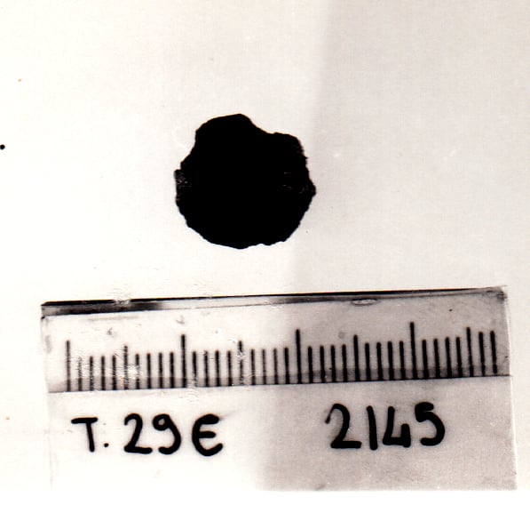 bottone - Cultura Ligure della Prima Età del Ferro (VII a.C)