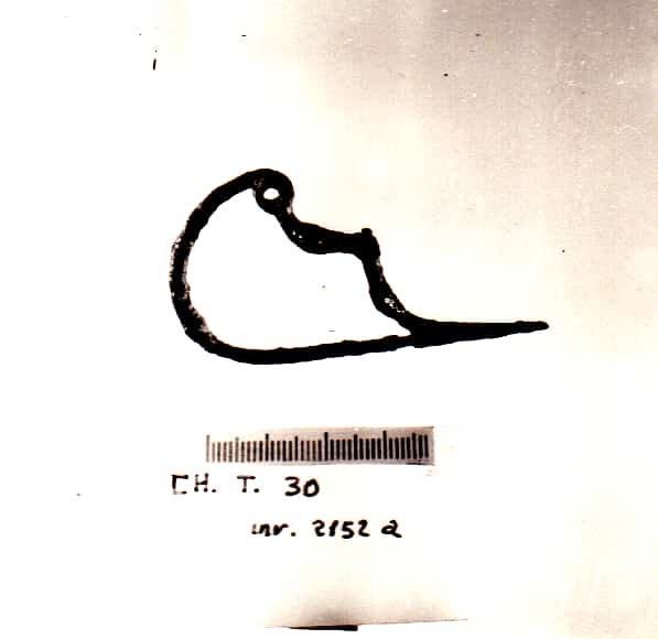fibula - Cultura Ligure della Prima Età del Ferro (VII a.C)