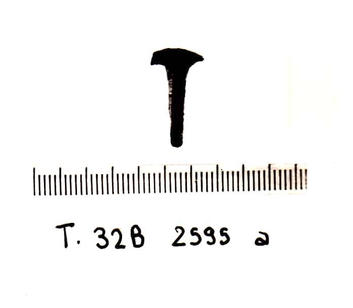 chiodo - Cultura Ligure della Prima Età del Ferro (VII a,C)