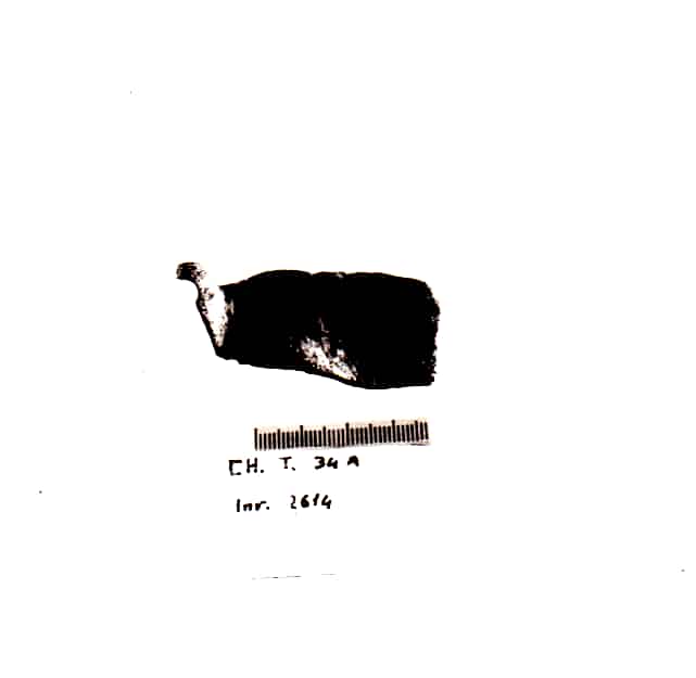 fibbia - Cultura Ligure della Prima Età del Ferro (VII a.C)