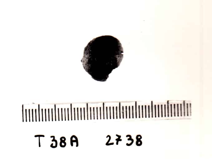 bottone - Cultura Ligure della Prima Età del Ferro (VII a.C)