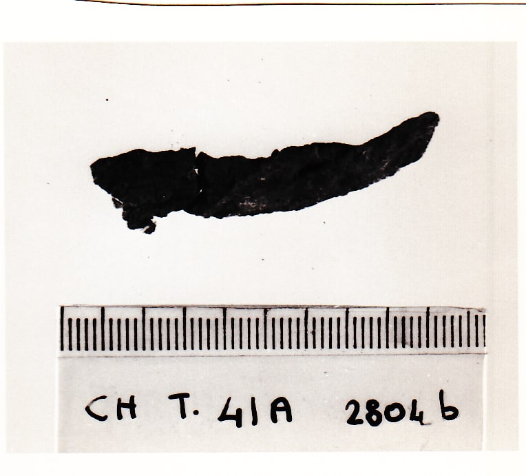 fibula - Cultura Ligure della Prima Età del Ferro (VII a.C)