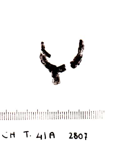 pendente - Cultura Ligure della Prima Età del Ferro (VII a.C)