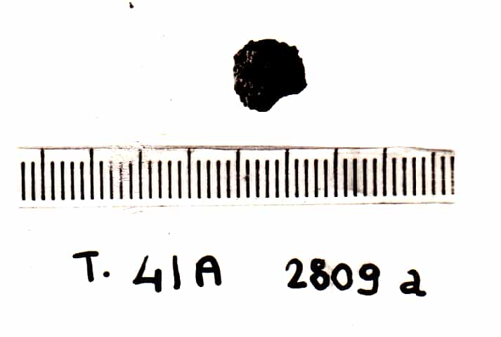 bottone - Cultura Ligure della Prima Età del Ferro (VII a.C)