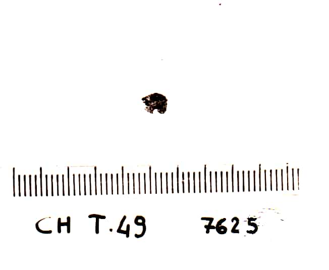 bottone - Cultura Ligure della Prima Età del Ferro (VII a.C)