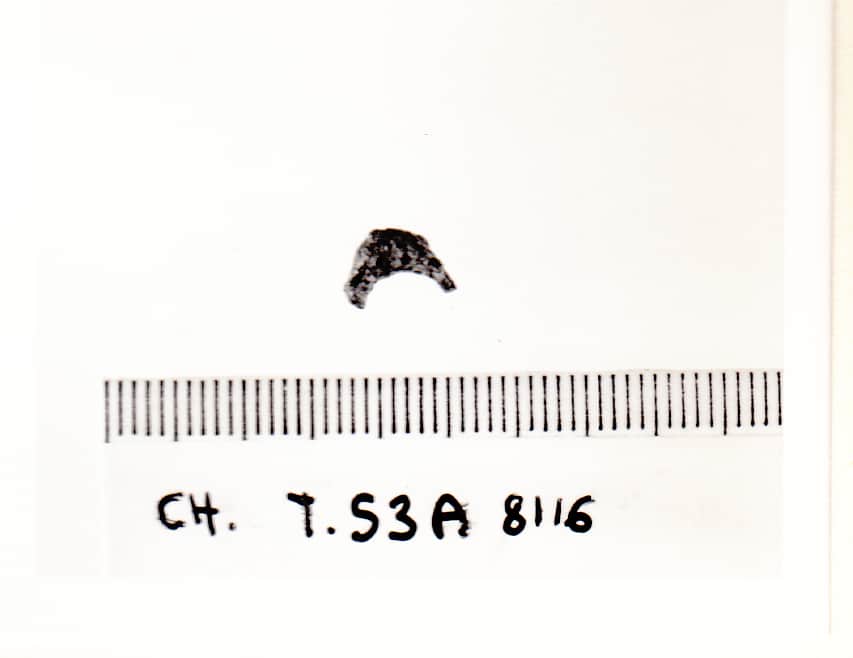 fibula - Cultura Ligure della Prima Età del Ferro (VII a.C)