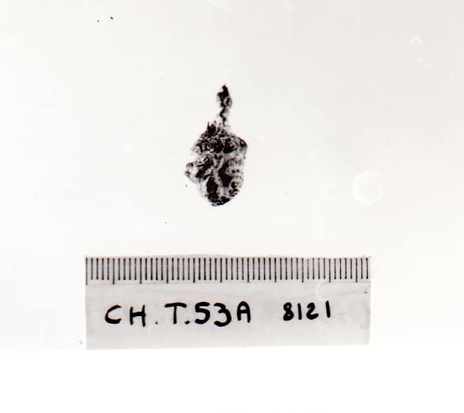 pinzetta (VII a.C)