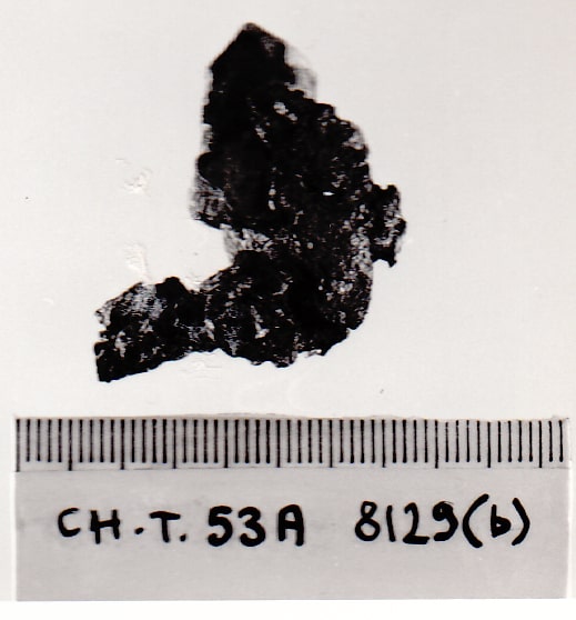 catena - Cultura Ligure della Prima Età del Ferro (VII a.C)