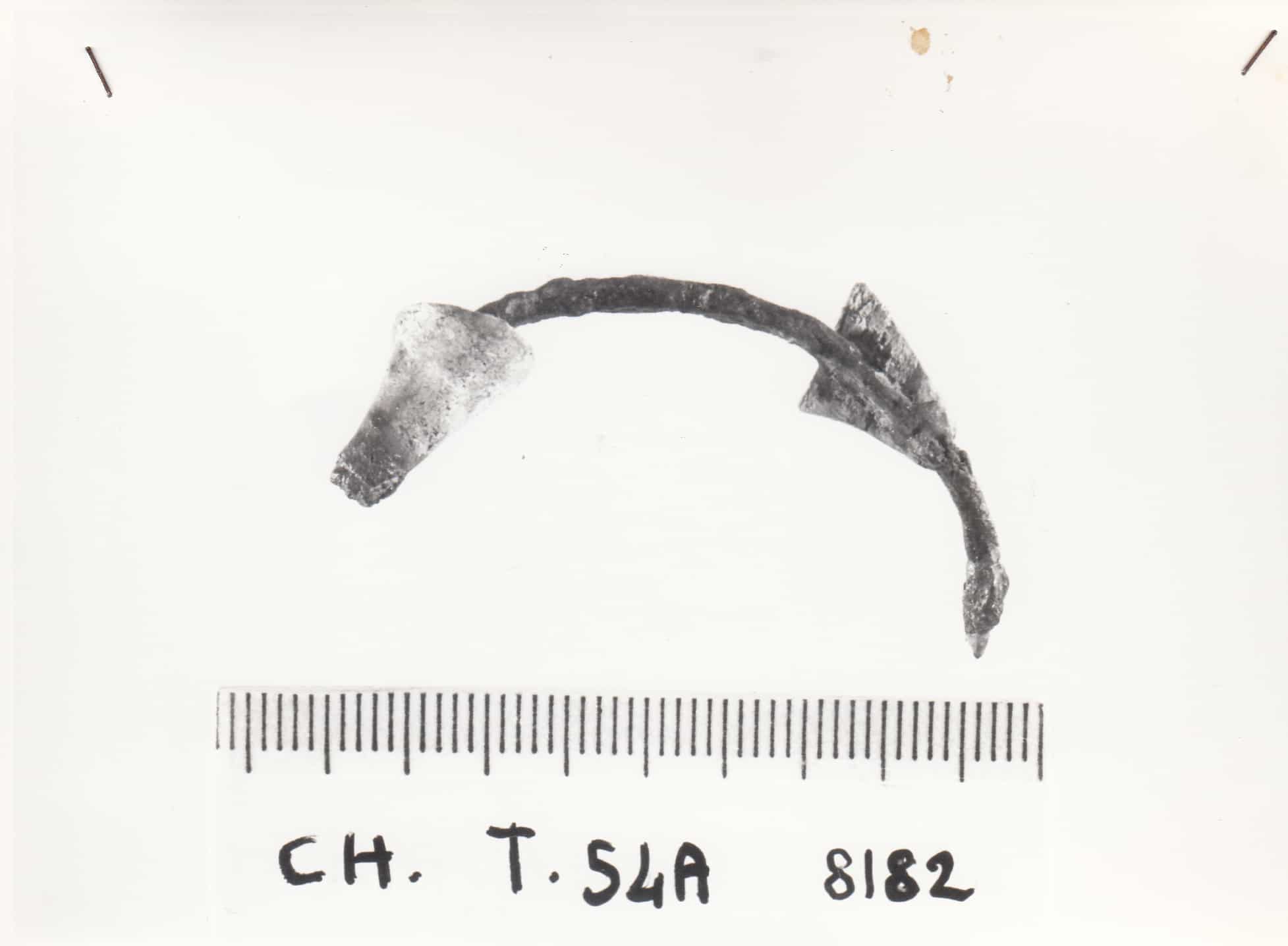 fibula con arco composito - cultura ligure della prima età del Ferro (VII a.C)
