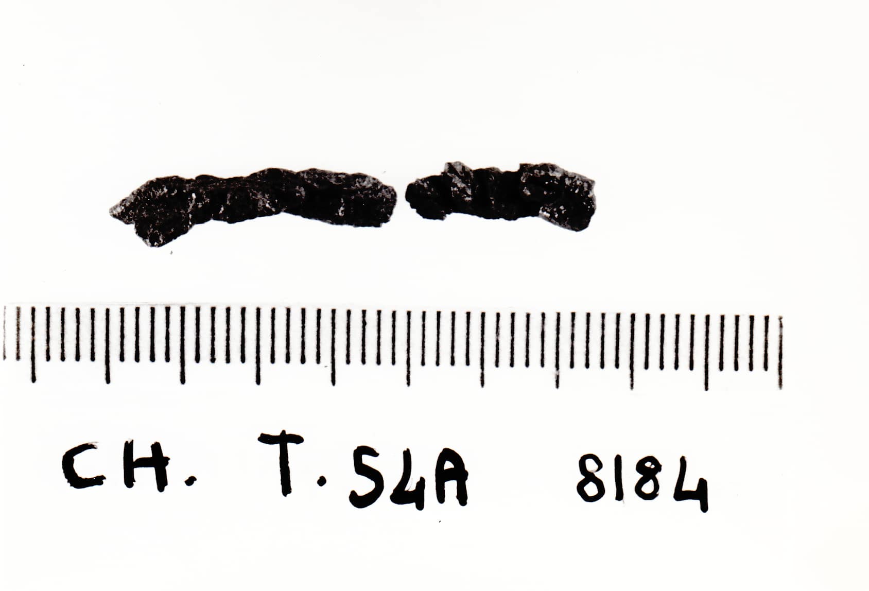 staffa di fibula - cultura ligure della prima età del Ferro (VII a.C)
