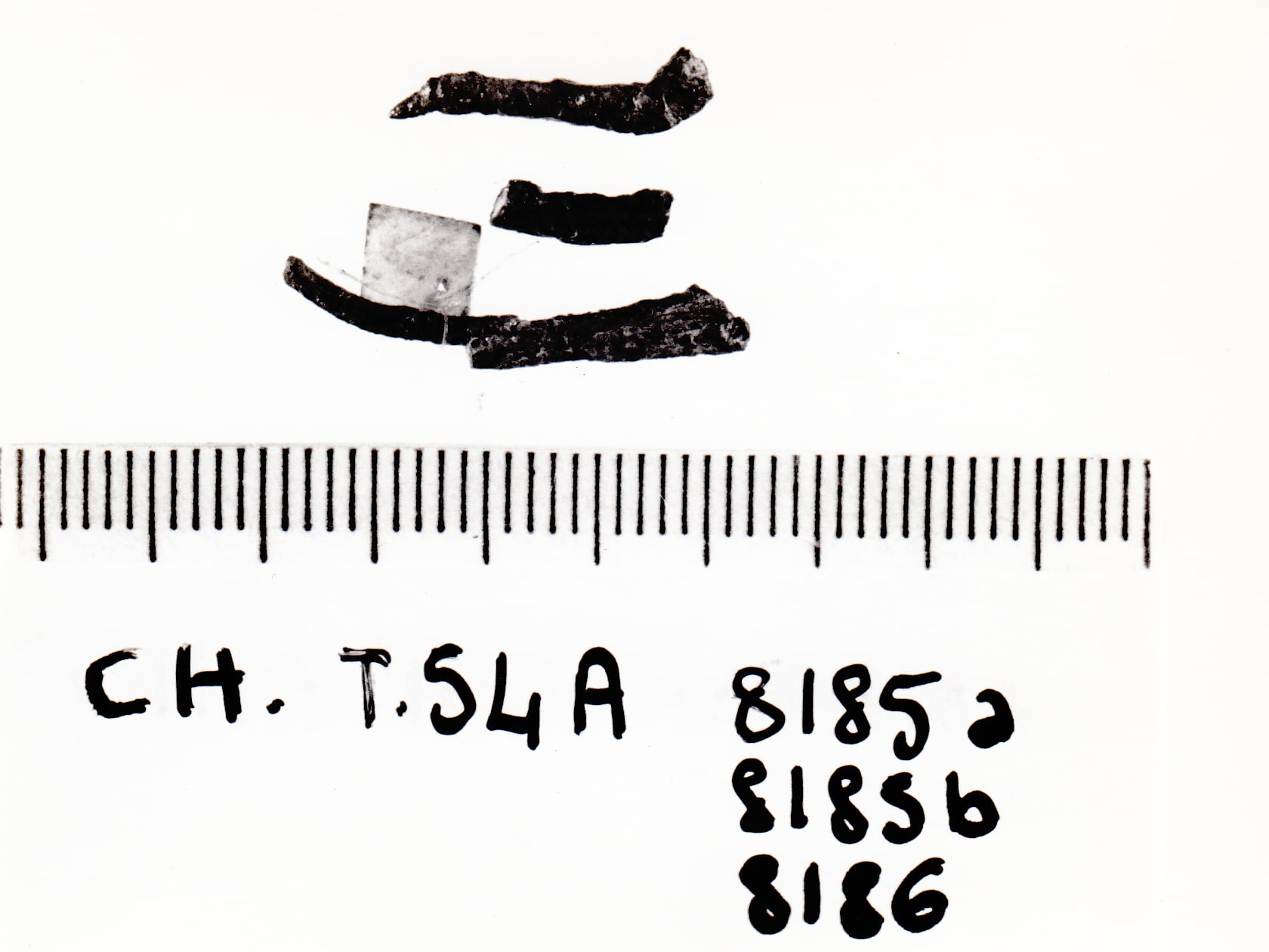 fibula - Cultura Ligure della Prima Età del Ferro (VII a.C)