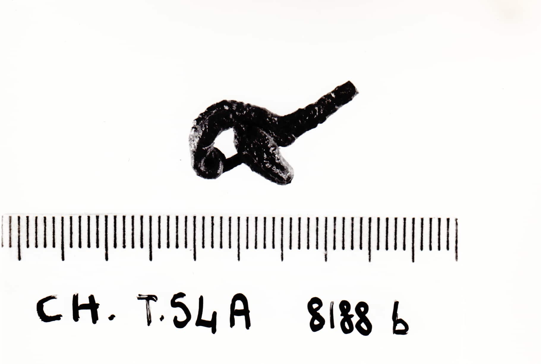 fibula - cultura ligure della prima età del Ferro (VII a.C)
