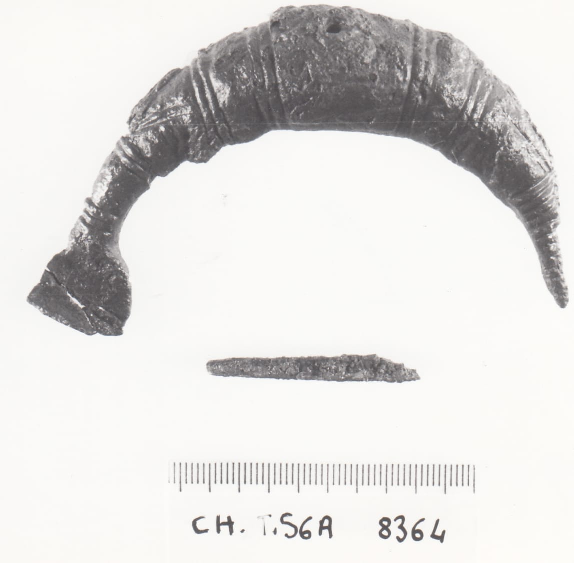 fibula - cultura ligure della prima età del Ferro (VII a.C)