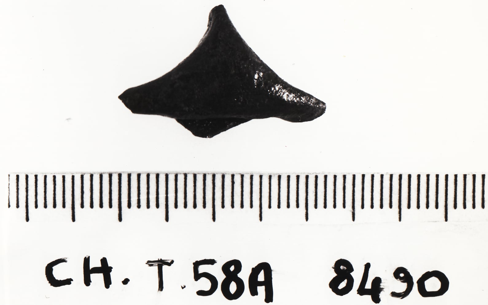 bottone - Cultura Ligure della Prima Età del Ferro (VII a.C)