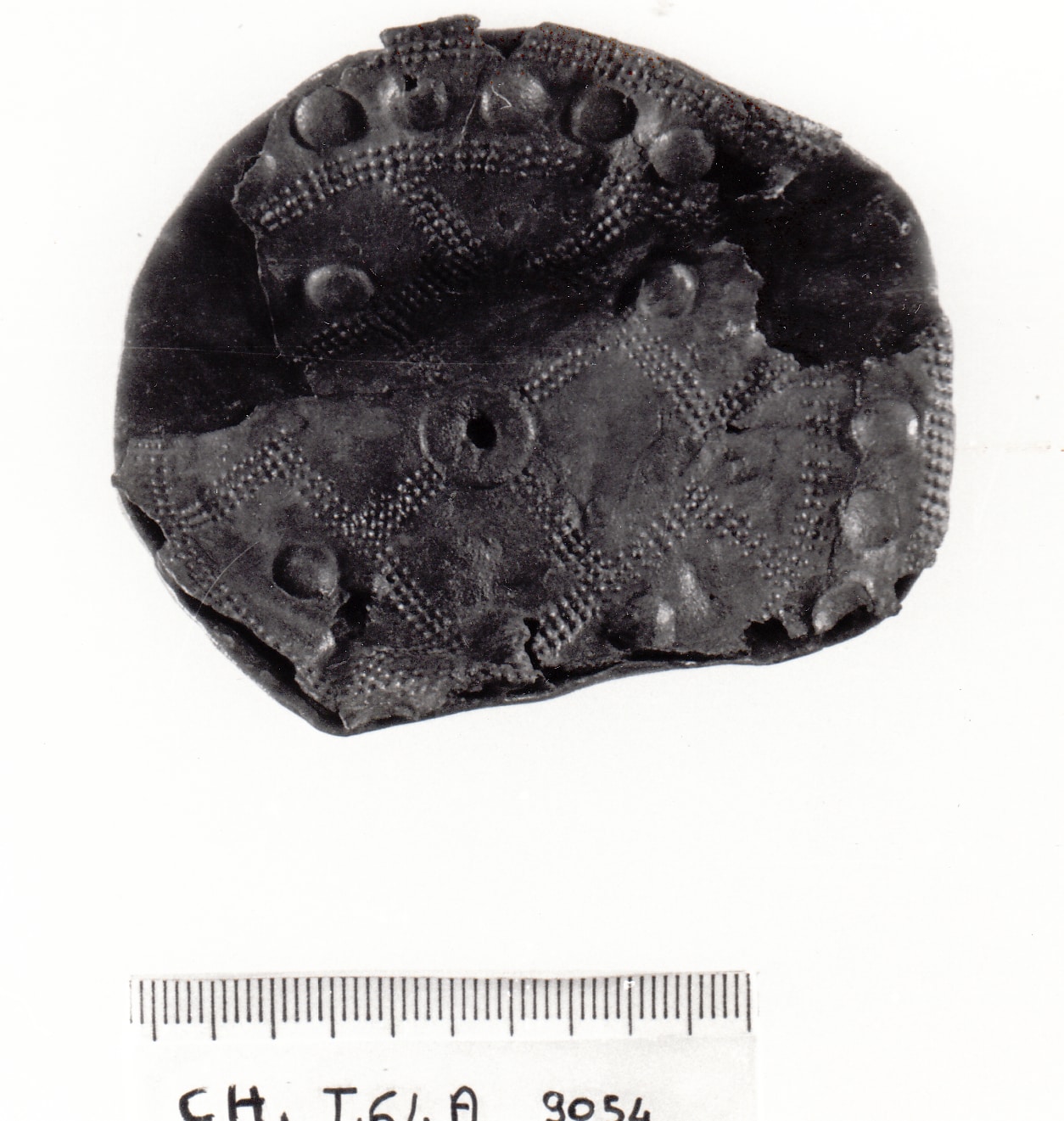 disco - Cultura Ligure della Prima Età del Ferro (VII a.C)