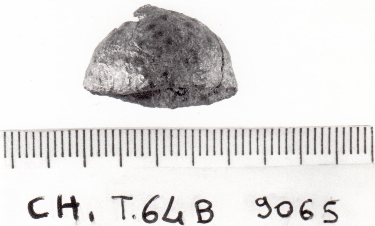 borchia a calotta - cultura ligure della prima età del Ferro (VII a.C)