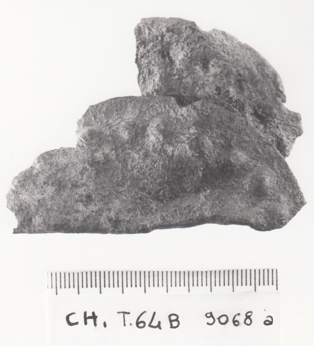 disco - Cultura Ligure della Prima Età del Ferro (VII a.C)