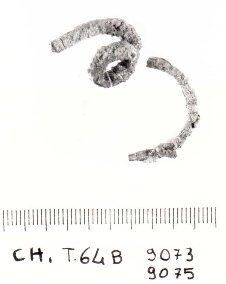 fibula serpeggiante/frammenti - cultura ligure della prima età del Ferro (VII a.C)
