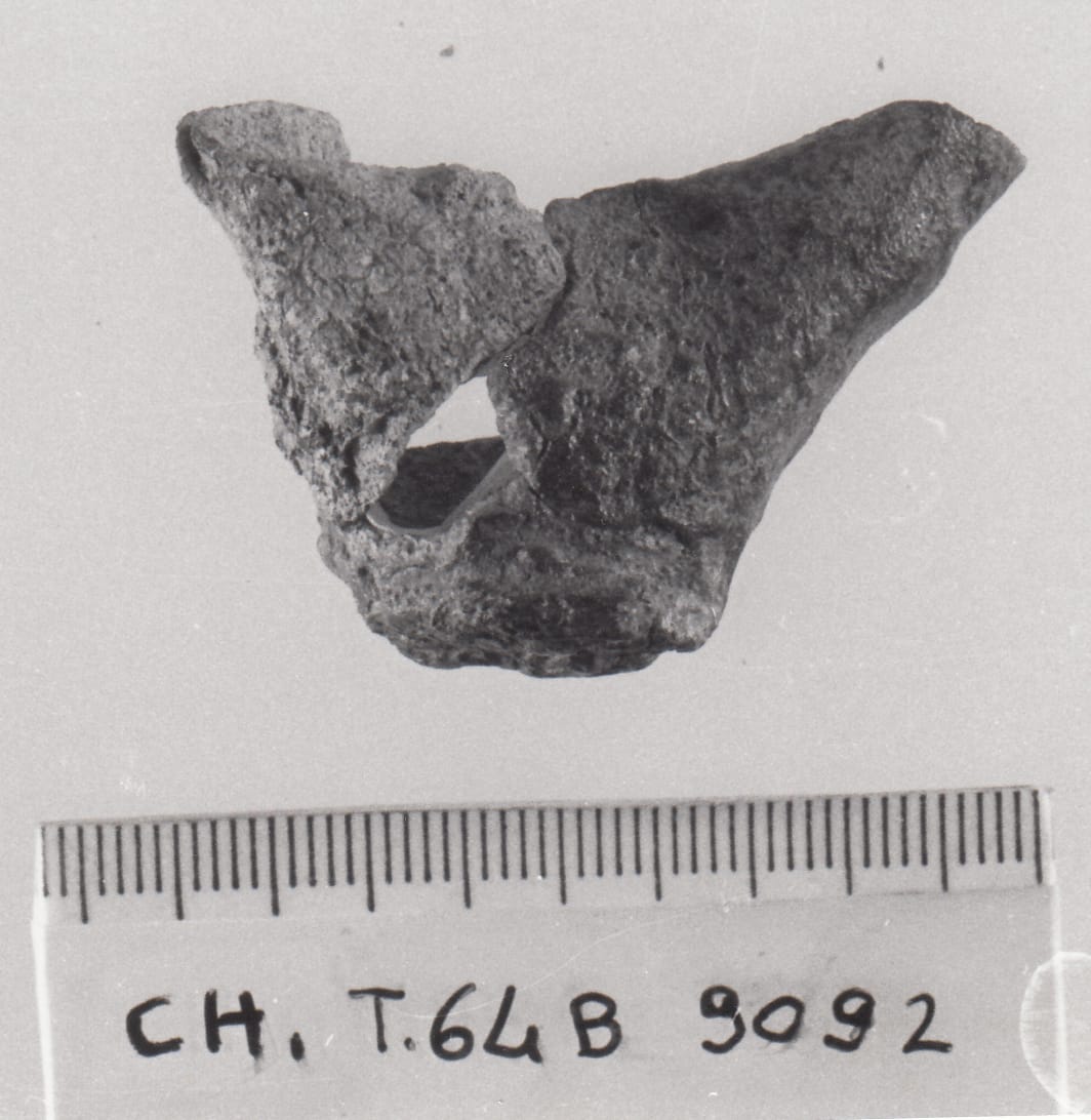 bottone - Cultura Ligure della Prima Età del Ferro (VII a.C)