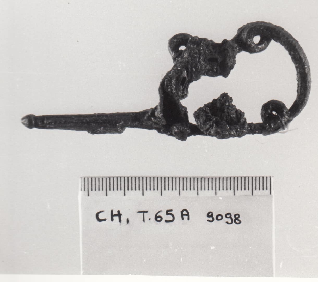 fibula serpeggiante - cultura ligure della prima età del Ferro (VII a.C)