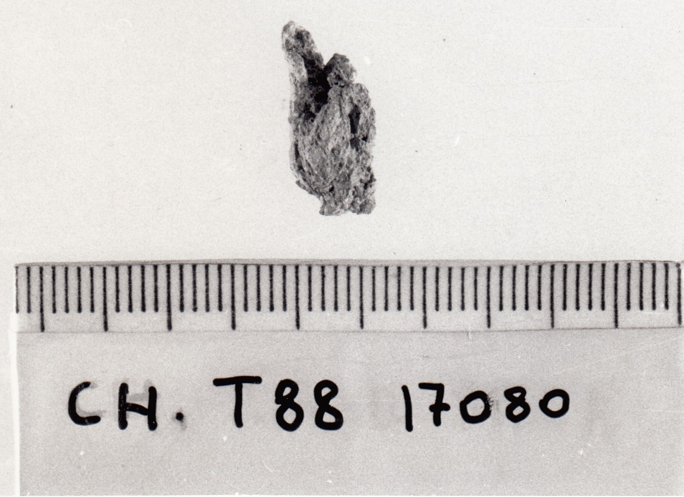 frammento non identificabile - cultura ligure della prima età del Ferro (VII a.C)